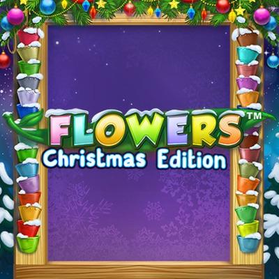 Flowers Christmas