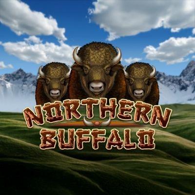 Northern Buffalo